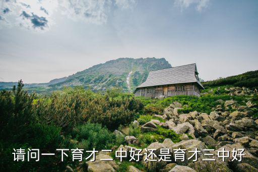 請問一下育才二中好還是育才三中好