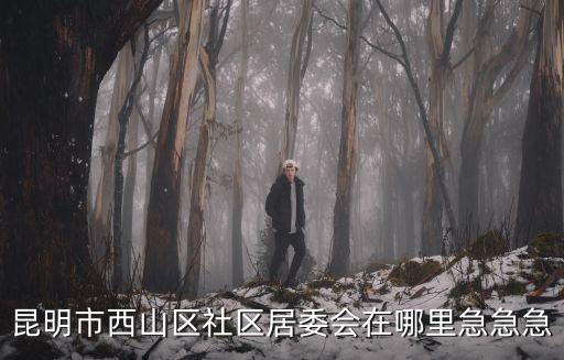 昆明市西山區(qū)社區(qū)居委會(huì)在哪里急急急