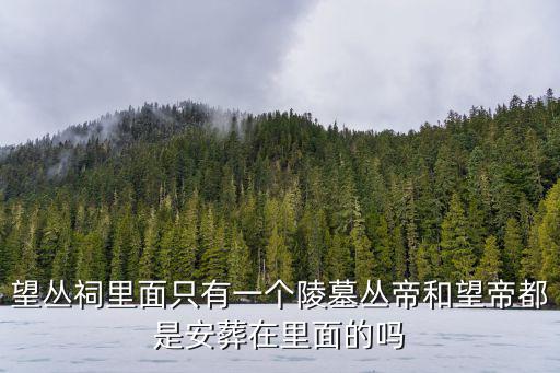 望叢祠，望叢祠里面只有一個(gè)陵墓叢帝和望帝都是安葬在里面的嗎