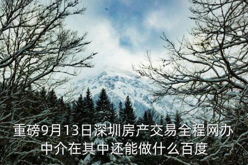 重磅9月13日深圳房產交易全程網辦中介在其中還能做什么百度