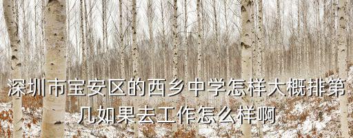 深圳市寶安區(qū)的西鄉(xiāng)中學(xué)怎樣大概排第幾如果去工作怎么樣啊