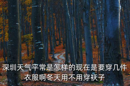 深圳天氣平常是怎樣的現在是要穿幾件衣服啊冬天用不用穿襖子