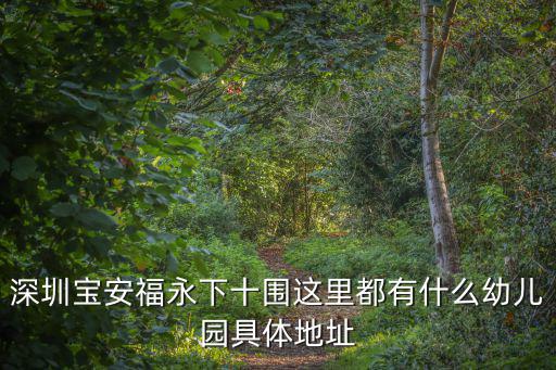 深圳寶安福永下十圍這里都有什么幼兒園具體地址