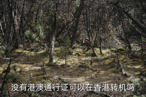香港轉(zhuǎn)機(jī)，有人坐飛機(jī)是從香港轉(zhuǎn)機(jī)嗎需要香港的什么簽證嗎