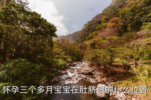 懷孕三個(gè)多月寶寶在肚臍眼的什么位置