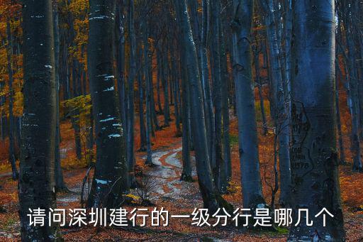 請(qǐng)問深圳建行的一級(jí)分行是哪幾個(gè)
