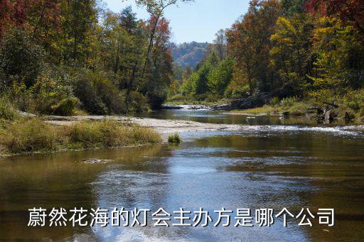 蔚然花海的燈會主辦方是哪個公司