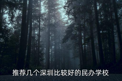 推薦幾個深圳比較好的民辦學(xué)校