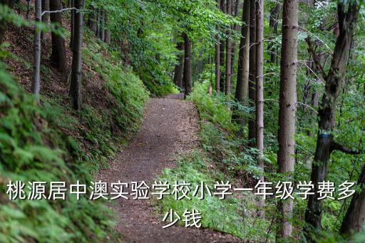 中澳實驗學校，南京高中國際部
