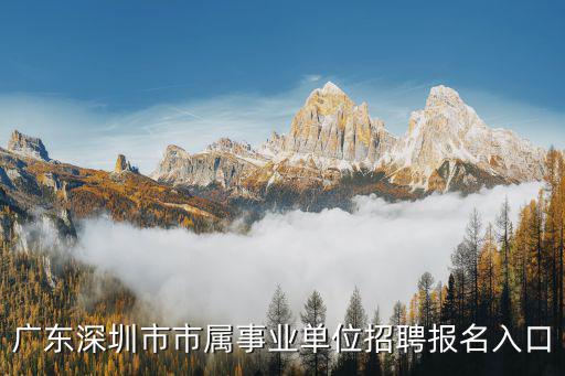 廣東深圳市市屬事業(yè)單位招聘報(bào)名入口