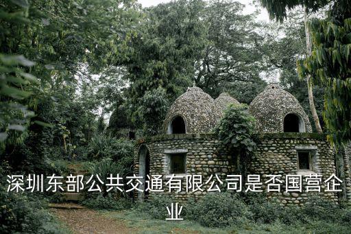 深圳東部公共交通有限公司是否國營企業