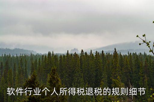 軟件行業(yè)個人所得稅退稅的規(guī)則細節(jié)