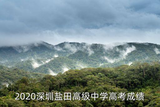 2020深圳鹽田高級中學(xué)高考成績