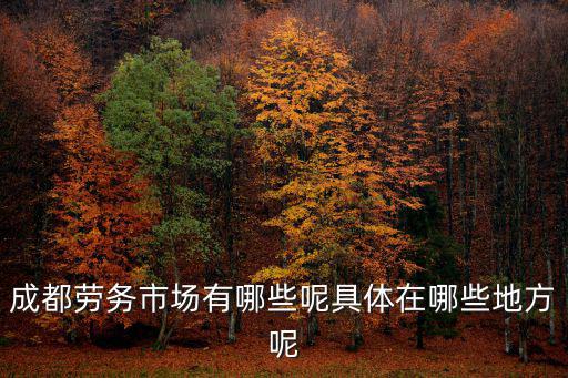 成都勞務市場有哪些呢具體在哪些地方呢