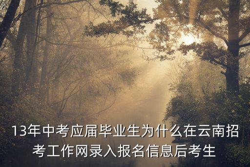13年中考應屆畢業生為什么在云南招考工作網錄入報名信息后考生