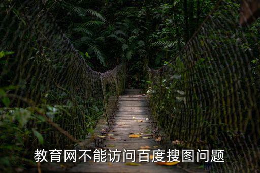 教育網不能訪問百度搜圖問題