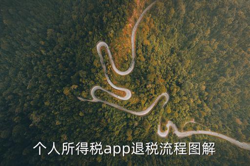個人所得稅app退稅，軟件行業個人所得稅退稅的規則細節