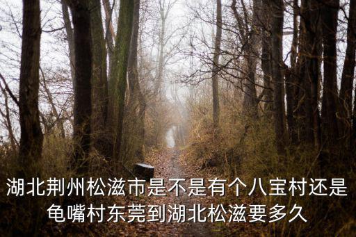 湖北荊州松滋市是不是有個八寶村還是龜嘴村東莞到湖北松滋要多久