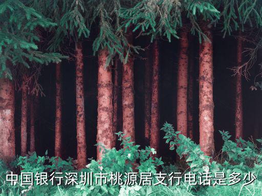 中國銀行深圳市桃源居支行電話是多少
