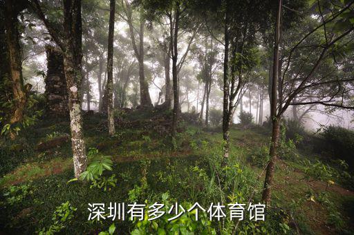 深圳有多少個(gè)體育館