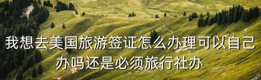 我想去美國(guó)旅游簽證怎么辦理可以自己辦嗎還是必須旅行社辦