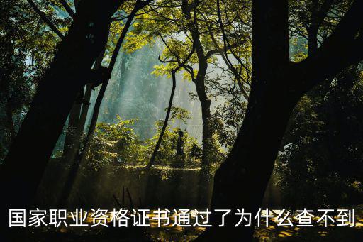 國家職業(yè)資格證書通過了為什么查不到