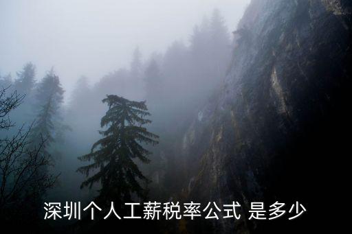 深圳個人工薪稅率公式 是多少
