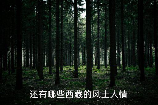 還有哪些西藏的風土人情
