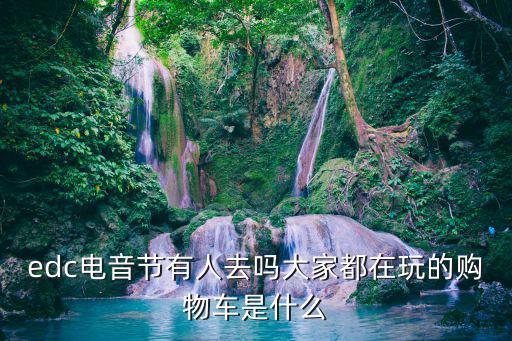 edc電音節有人去嗎大家都在玩的購物車是什么