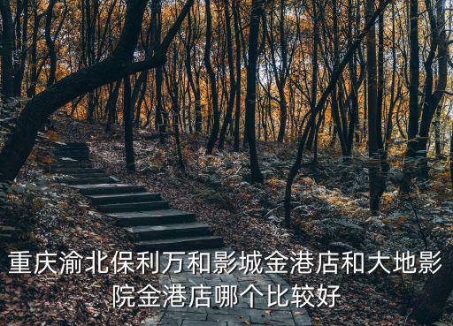 重慶渝北保利萬和影城金港店和大地影院金港店哪個比較好