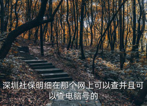 深圳社保明細在那個網(wǎng)上可以查并且可以查電腦號的
