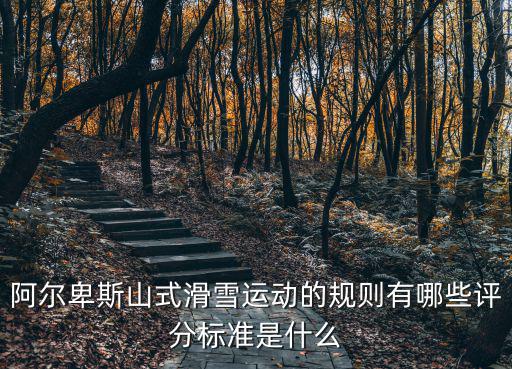 阿爾卑斯山式滑雪運(yùn)動的規(guī)則有哪些評分標(biāo)準(zhǔn)是什么