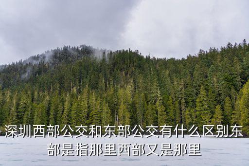 深圳西部公交和東部公交有什么區別東部是指那里西部又是那里