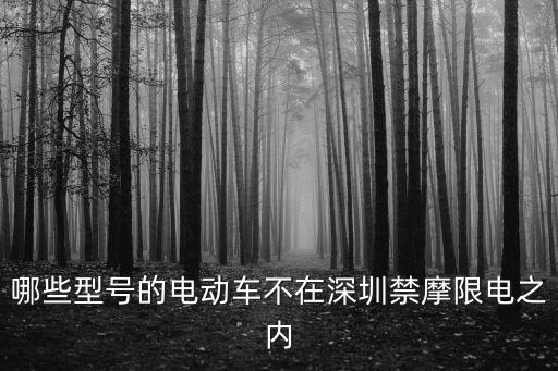 哪些型號的電動車不在深圳禁摩限電之內