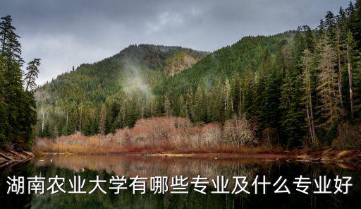 湖南農(nóng)業(yè)大學(xué)專業(yè)，湖南農(nóng)業(yè)大學(xué)的幾大專業(yè)