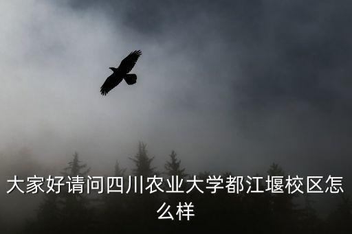 大家好請問四川農業大學都江堰校區怎么樣