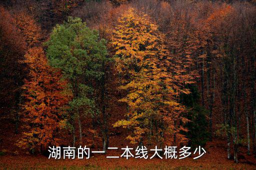 湖南的一二本線大概多少