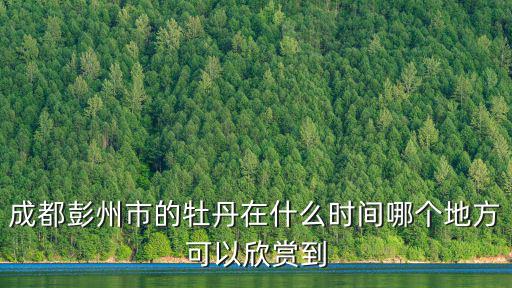 成都彭州市的牡丹在什么時間哪個地方可以欣賞到