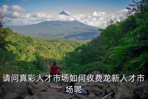 請問真彩人才市場如何收費龍新人才市場呢