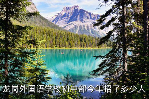 龍崗?fù)鈬Z學(xué)校初中部今年招了多少人