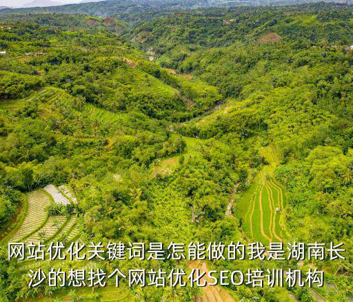 湖南網站優化，網站優化怎么做好圖片優化