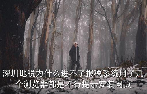 深圳地稅網，地稅網上申報系統的綜合業務手機怎么認證不上