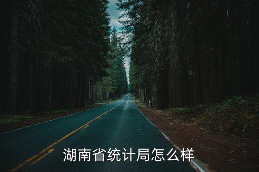 湖南省統(tǒng)計(jì)局，湖南人有好多