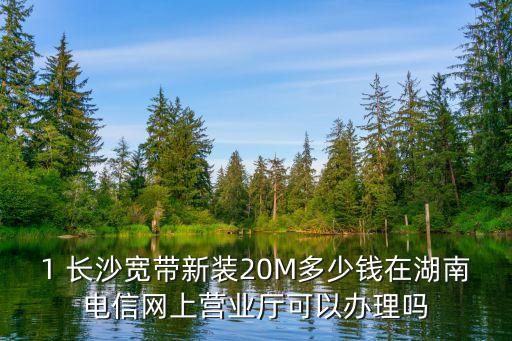 湖南電信網上營業廳，1 長沙寬帶新裝20M多少錢在湖南電信網上營業廳可以辦理嗎