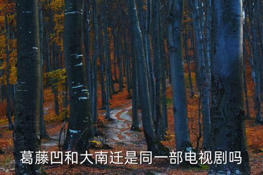 葛藤凹和大南遷是同一部電視劇嗎