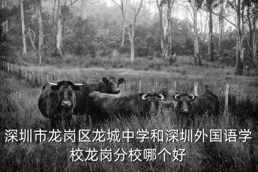 深圳市龍崗區(qū)龍城中學(xué)和深圳外國語學(xué)校龍崗分校哪個(gè)好