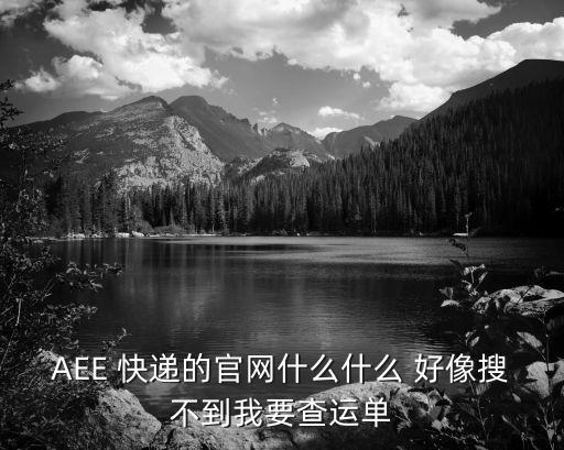 AEE 快遞的官網什么什么 好像搜不到我要查運單