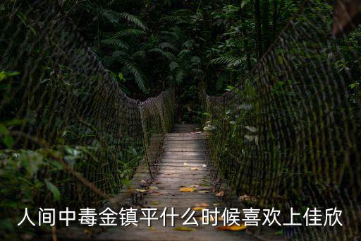 人間中毒金鎮平什么時候喜歡上佳欣