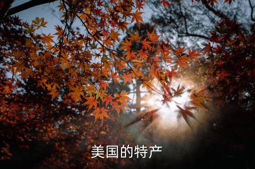 美國有什么特產，美國特產有哪些