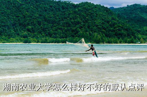 湖南農業大學怎么樣好不好的默認點評